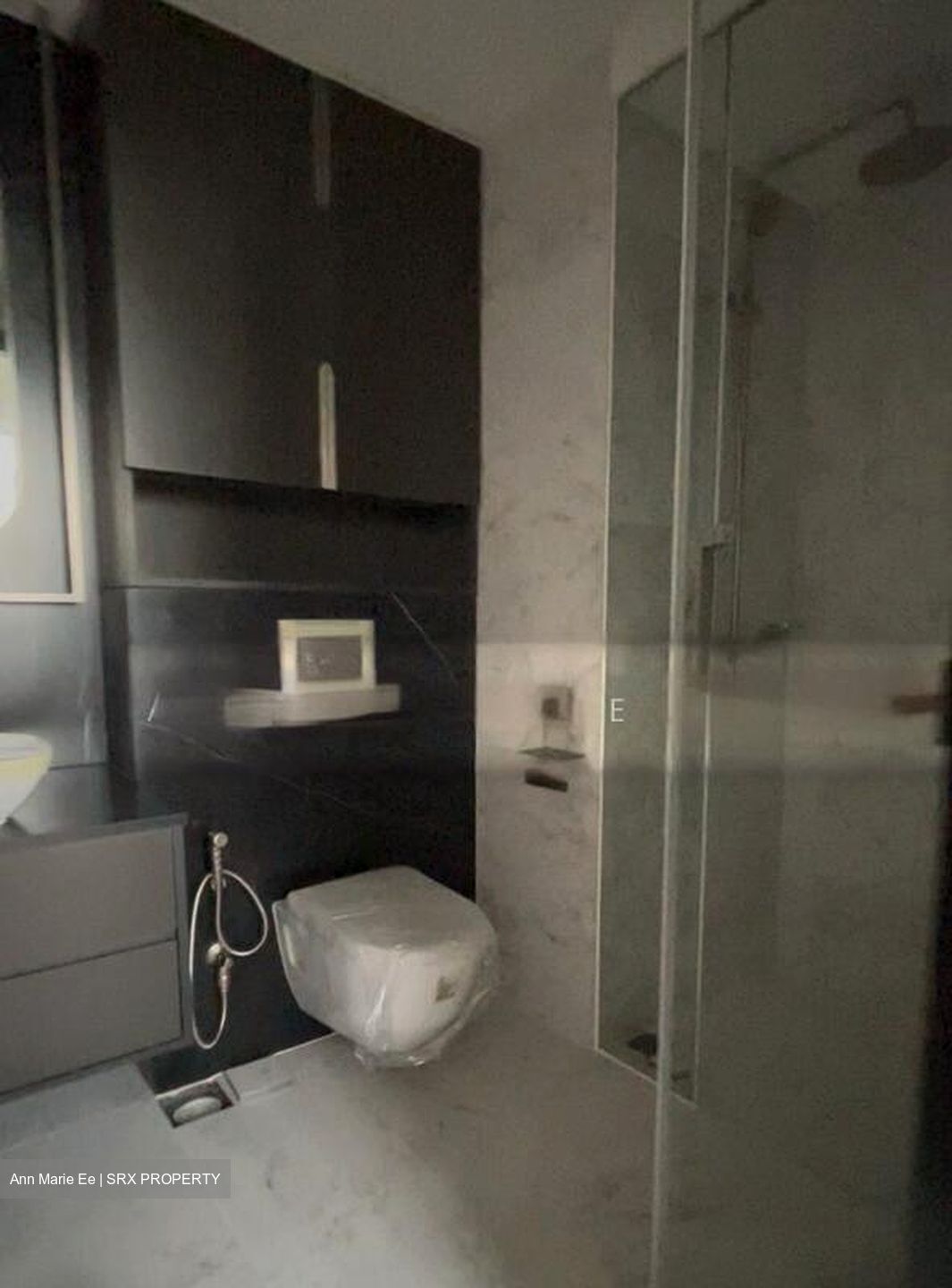 One Bernam (D2), Apartment #502028151